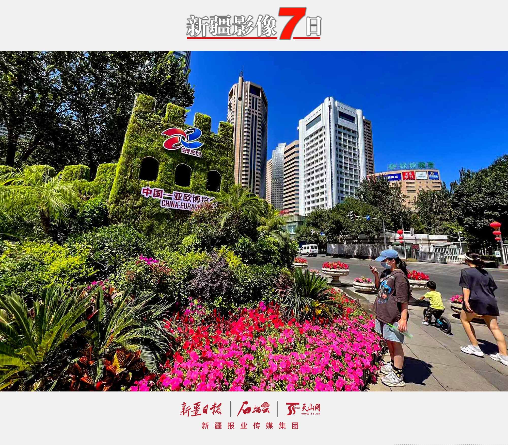 8月7日，市民在烏魯木齊人民廣場的第七屆中國—亞歐博覽會主題花壇前拍照。隨著第七屆中國—亞歐博覽會的臨近，烏魯木齊市各主要路口擺放了以第七屆中國—亞歐博覽會為主題的鮮花花壇，成為一道美麗的風(fēng)景線。石榴云/新疆日報記者 約提克爾·尼加提攝
