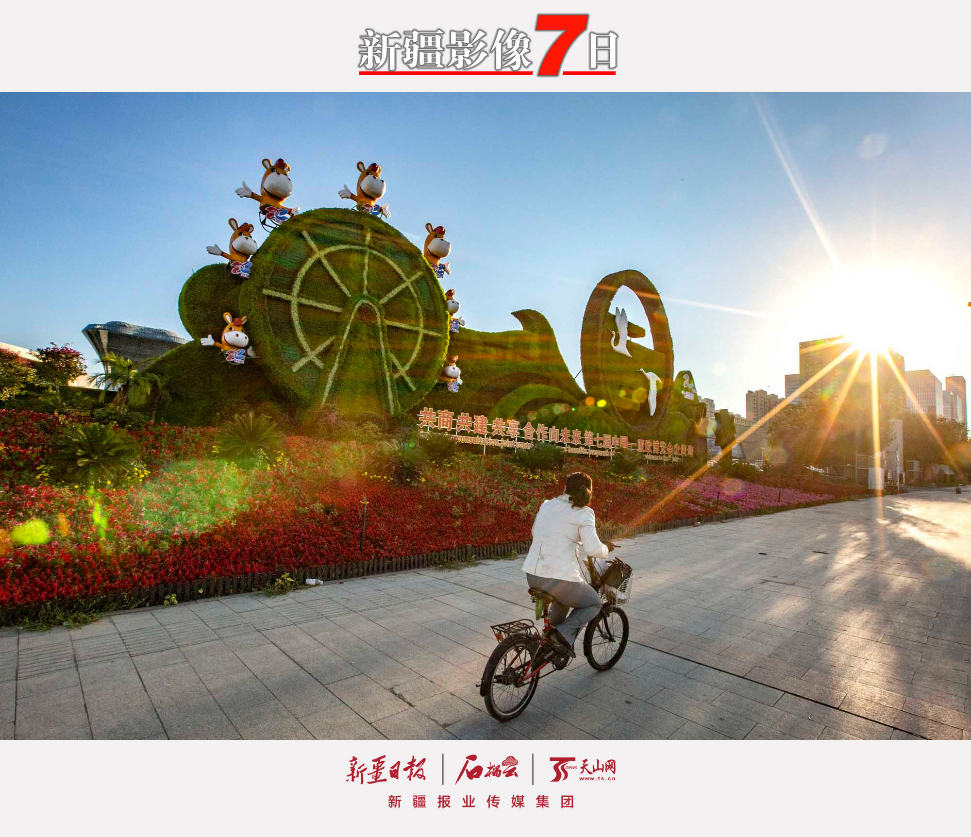 9月15日，一位市民騎車從烏魯木齊市紅光山路邊的第七屆中國—亞歐博覽會(huì)主題花壇旁駛過。 隨著第七屆中國—亞歐博覽會(huì)的臨近，烏魯木齊市100多組主題花壇相繼擺放到位，大街小巷花團(tuán)錦簇。石榴云/新疆日?qǐng)?bào)記者蔡增樂攝