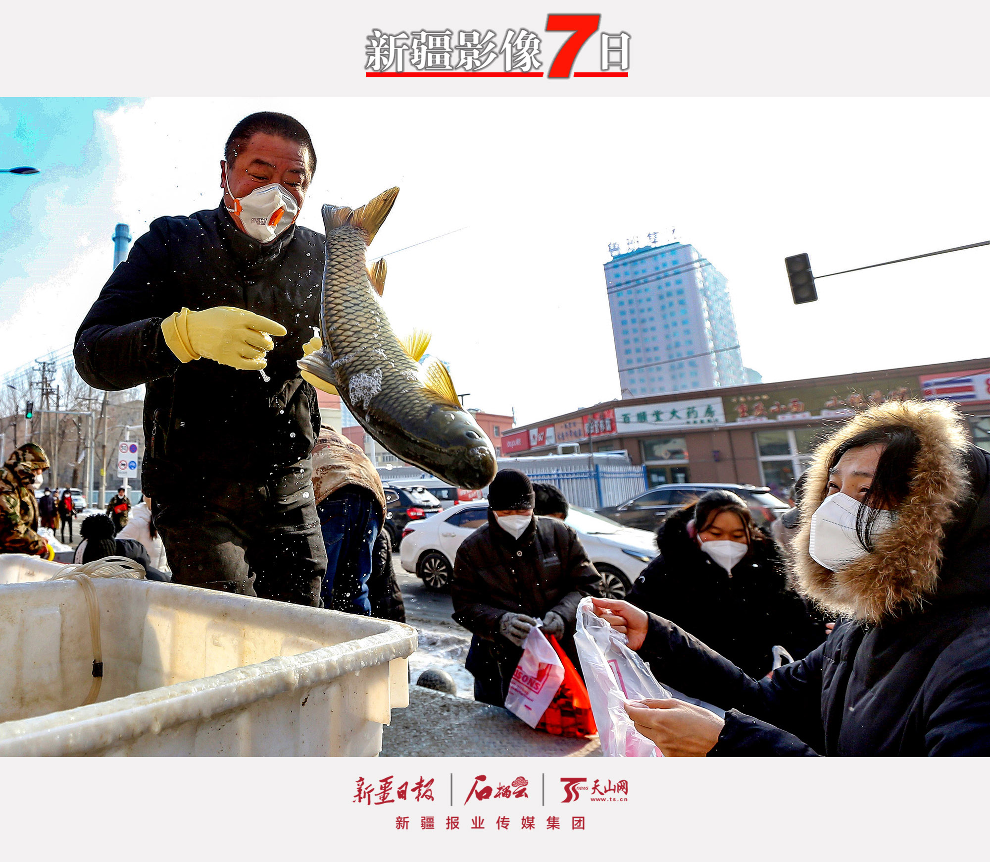 11月29日，市民在烏魯木齊市天山區(qū)堿泉三街購買草魚。近日，烏魯木齊市穩(wěn)步有序恢復正常生產(chǎn)生活秩序。石榴云/新疆日報記者　李瑞　攝