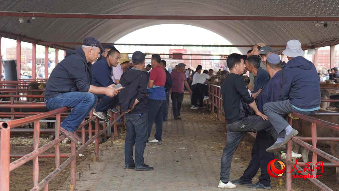 黃公巴扎的活畜交易區(qū)。人民網(wǎng) 李龍攝