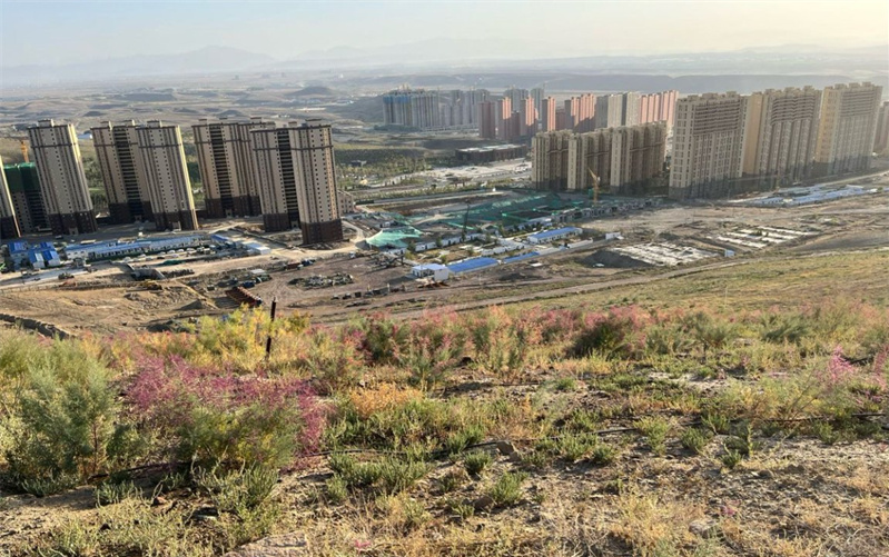 烏魯木齊大泉湖煤田火區(qū)治理后，地表植被得以恢復(fù)。新疆應(yīng)急管理廳供圖