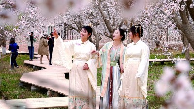 【文化中國行】在新疆尋找春天